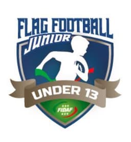 Flag under 13 Flag under 13