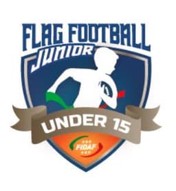 Flag under 15 Flag under 15