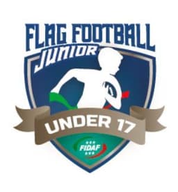 Flag under 17 Flag under 17