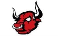 Stemma di Mad Bulls