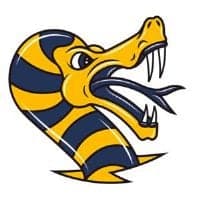 Stemma di Vipers Modena