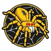 Stemma di Spiders salento